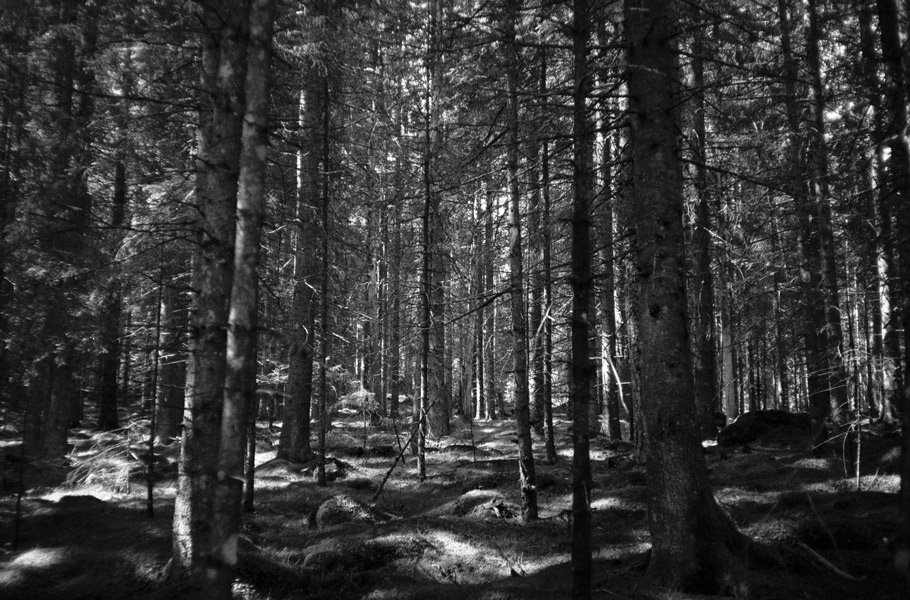 On the way to Bergen, Norway 2011